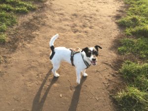 Einzeltraining Einzeltraining