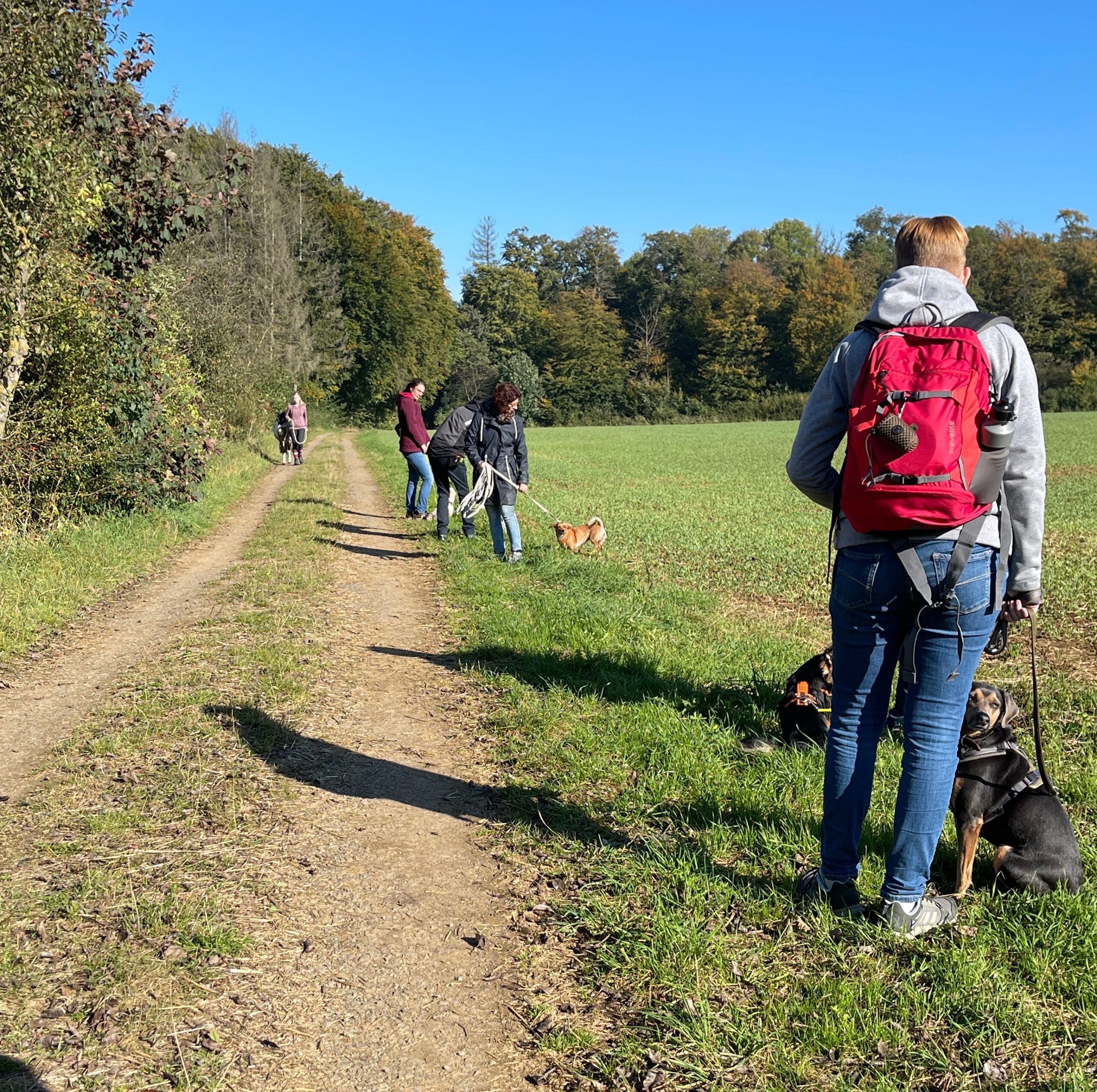 Social walks 2